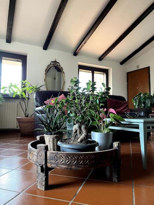 Apartment In Villa La Carruba Ривергаро Экстерьер фото
